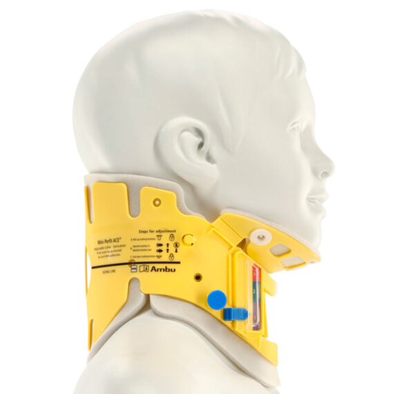 mini-Perfit-Ace-3